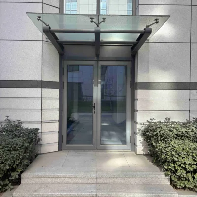 Latest Design Custom Size Black Double Casement Aluminum Glass Door