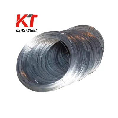 Factory Direct Supply Galvanized Steel Wire on Sale | 10% Off for First Order | Custom Packing & Fast Shipping Worldwide