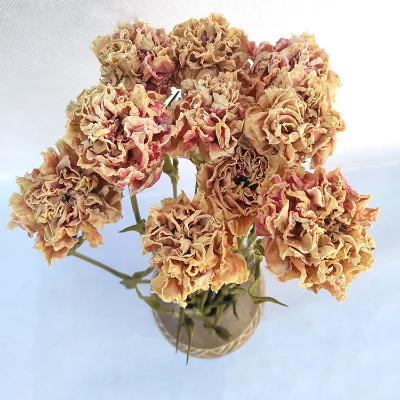 Other Decorative Flowers and Plants Wholesale Wedding Decoration Dry Flowers Pressed Real Natural Dried Carnation