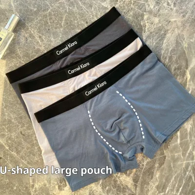 Bacteriostasis Underwear Men Brief Temperature Change Negative Ion Men's Underwear Plus Size Boxers for Men s Underwear