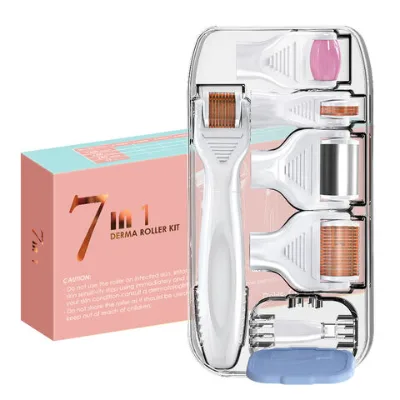 High quality Stainless Steel 540 Micro Needles Derma Roller set