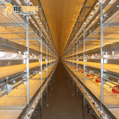 Poultry Equipment H-type Battery Cage Chicken Coop Chicken Cages of Layer or Broiler