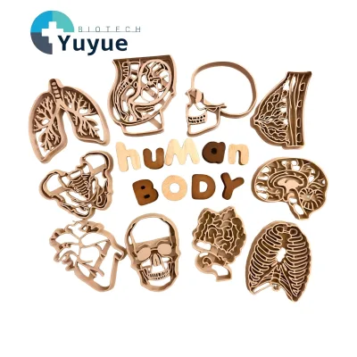 Human Organ Wooden Mold Set 3D Print Play Dough Stamps Kids Body Structure Science Educational Sensory Play Toy