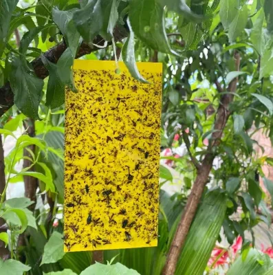 Sticky Trap Assortment Mixed Sizes 10x15-25x40cm Waterproof Insect Glue Board Sample Pack for Farm Trial Fly Pest Control