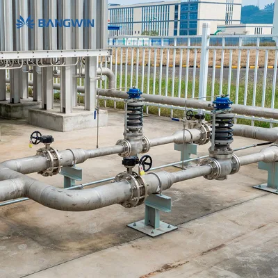 BW Turnkey Basis High Purity Cryogenic Nitrogen Plant For Industries