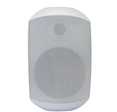 Factory Sale Outdoor IP66 Wall Mount Speakers Public Address System Wall Mounted Speaker for Hotels Conference Halls Classrooms