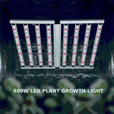 Dimmable 800W LED Grow Light 8 Bar System Full Spectrum Intelligent Control for Greenhouse Automated Lighting Solutions