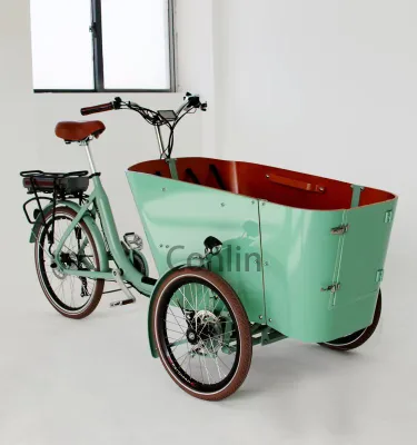 Classic Family Cargo Bike With Front Box Three Wheel Adult Bicycle for Kids