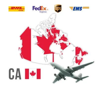 Professional Quality Inspection Air Shipping Agent China DRain Logistics Door Door Express Top10 Freight Forwarder Amazon