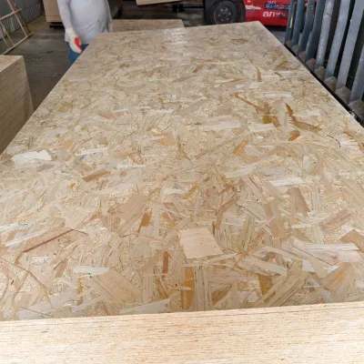 Construction Osb Board 18mm 20mm High Grade E0 Glue Osb3 Board Panel Sheet 1220x2440mm