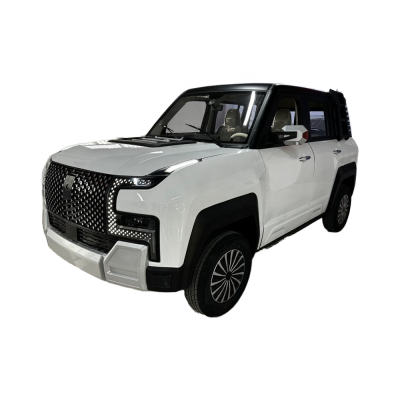 Low-speed New Energy Vehicle - Electric Commuting Car