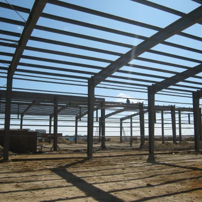 CDPH 50x100 Commercial Steel Industrial Warehouse Building High Load Capacity (10000 Lb./sq.ft) 60 Mph Wind Resistance 3-Year
