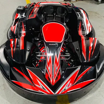 Professional Racing Go Kart for Adult 196CC High Speed Honda GX200 Engine Go Karts for Sale