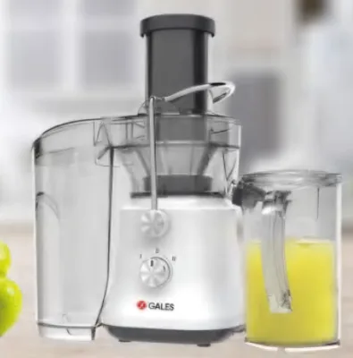 Gales GS-385 800W Electric Stainless Steel Centrifugal Juicer Household High-Capacity Multi-Function Fruit Vegetable Extractor