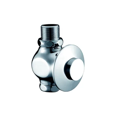 In Wall Concealed Toilet Flush Valve Hand Pressing Toilet Flusher for Squat Pan