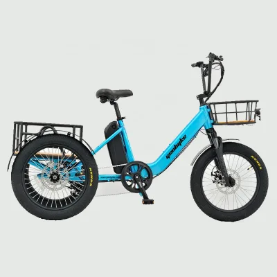 High Quality Long Range Electric Trike for Adults 48v 250w Motor Power Disc Brake System 15ah Lithium Battery Rear Carrier Seat