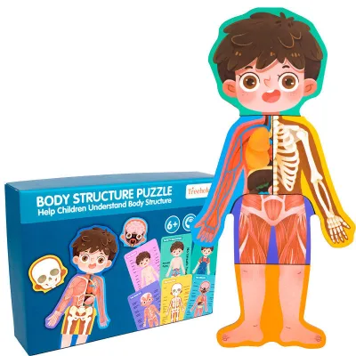 Wooden Body Structure Puzzle Human Cognitive Puzzle Boys and Girls Children's Educational Toys