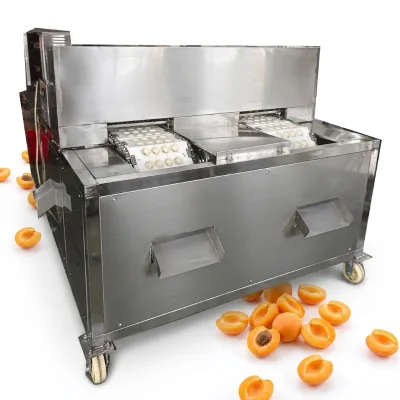 Factory Direct Double-track Longan Pitting Machine for Overseas Canned Fruit Processing Buyer