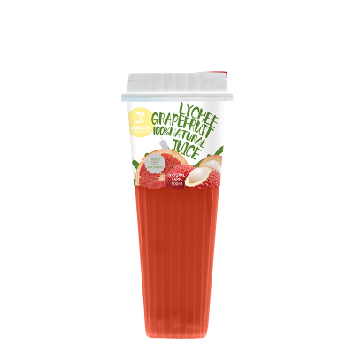Wholesale 500ml Delicious Juice Drink Aluminum Cans Natural Fruit Juice Beverage Cheaper Price Fruit Beverages with Shipping