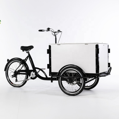 250w Cheap Electric Closed Tricycle Trike From China