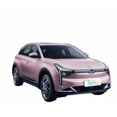 2024 U Fashion Design Fast Charging Ev China Hot Sale High Speed Electric Vehicle
