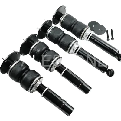 Air Suspension Kit for Audi Q5-B8 2009--2017/air Strut Coilover air Spring Assembly/Auto Parts/air Spring/pneumatic