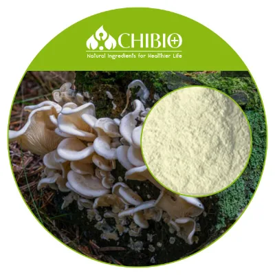 100% Vegan Mushroom Chitosan Around 200cps for Plant-based Textiles Leather