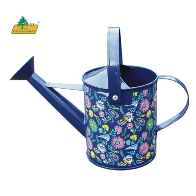 Simple Artistic Eco-Friendly Durable Stainless Steel Long Nozzle Printing Watering Can for Garden