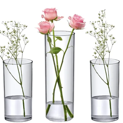 Borosilicate Glass Hydroponic Vase Plant Indoor Desktop Modern Eco-Friendly Handmade Durable Wide Mouth Wedding Bar Mitzvah