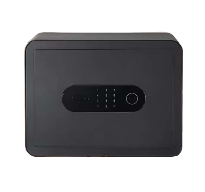 Intelligent Safe