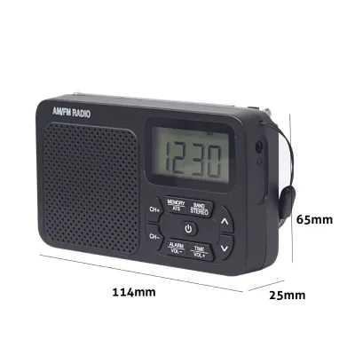 DSP Digital AM FM Portable Radio with Clock, Type-C Rechargeable & AA Battery Powered, Loud Speaker, Private Mold Gift Radio