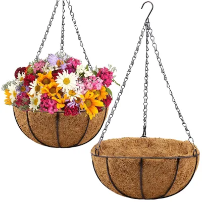 Versatile Coconut Hanging Basket, Perfect for Indoor and Outdoor Plant Displays, Home Decor, and Sustainable Gardening