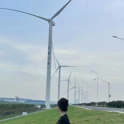 5KW 48v Eolic Energy Generator 220V 20KW Aerogeneradores Eolicos 96V 10000W Wind Energy System Called Horizontal Wind Turbine