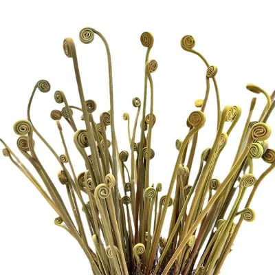 New design 8 forks flocking plastic fern plants artificial green plants fern for home decoration
