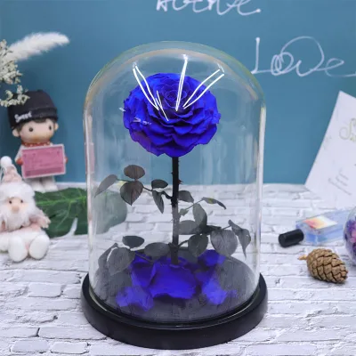 Hot Sell Real Touch Eternal Rose Forever Preserved Rose in Glass Dome Jar Whole Sale in Bulk for Valentine's Mother's Day Gifts