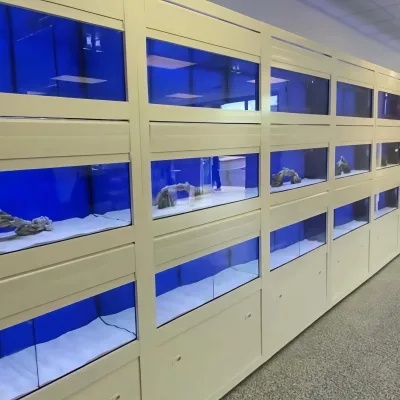 4-Layer Solid Glass White Industrial Commercial Aquarium Rack System