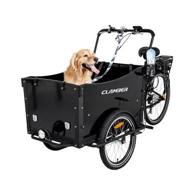 Electric Cargo Bike with Rear Carrier Battery 36v Three-Wheel Steel Frame for School Bus Use