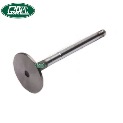 Intake Inlet Valve ERR3777 VL169400 V91988 GL0673 for Land Rover Defender LR Spare Parts Factory Price Online