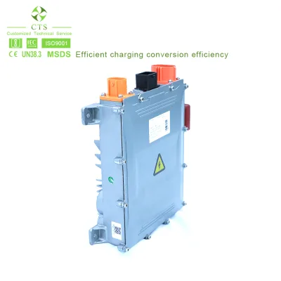 IP67 protection on Board Charger 72v 96v 144v 400v 600v 3.3kw 6.6kw OBC for Electric Vehicle Car Tricycle Boat