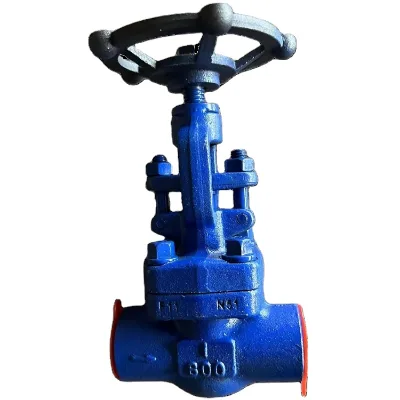 1" ASTM A182 A105 Globe Valve Class 800 Socket Weld Globe Valve With Swing Plug Disc for Hot Water