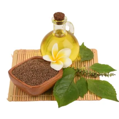 Hot Selling High Quality Purple Perilla 100% Natural Purple Perilla Seeds Oil with Low Price