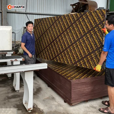 4x8 18mm Black Film Faced Plywood-F17 Standard Outdoor Use Modern Design E1 Formaldehyde Emission