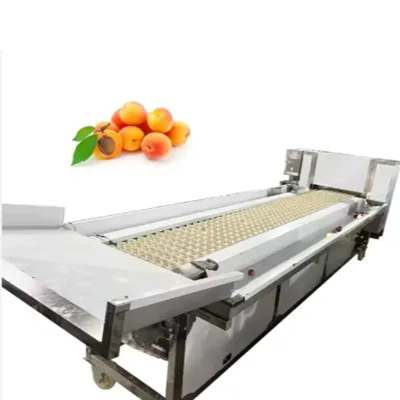 Fruit & Vegetable Machines Prunes & Apricots Pitter