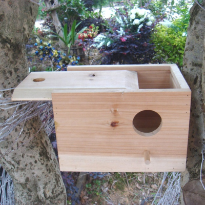 Bird House