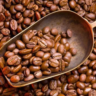 Wholesale 1kg Arabica Coffee Beans Robusta Coffee Beans Classic Italian Espresso Flavor Uganda Beans for Business