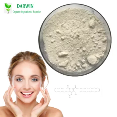 Supply Natural Cosmetic Raw Materials 10% Pure Ceramide Powder