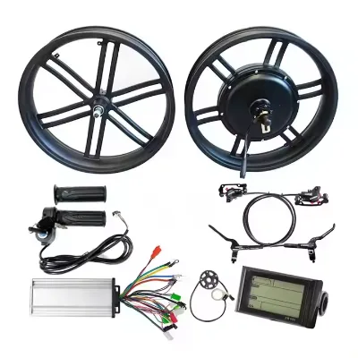 20 Inch 2000w 3000w 5000w High Speed 120km/h High Torque 20*4.0 Fork Size 150mm 175mm 195mm Fat Tire Hub Motor