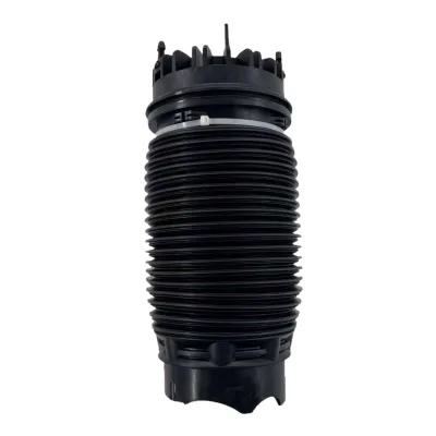 Rear Shock Absorber Air Spring for Dodge Ram DS 2013-2018 Brand New High Quality OE 68069813AA 68260938AB 68248948AA