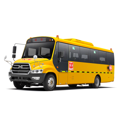 Yellow School Bus 8m