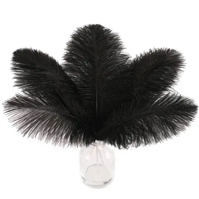 SOGUGOM Black Craft Ostrich Feathers 30PCS 6-8 Inch Kit Handmade Birthday Centerpieces Kindergarten Crafts Dream Catchers DIY